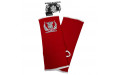 Голеностопы Top King TKANG-01 red M